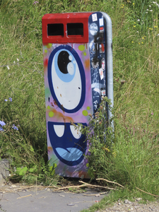 901827 Afbeelding van een met graffiti bespoten afvalbak (met o.a. een oog, gemaakt door Jan is de Man) op de ...